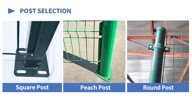 O PVC amigável de ECO revestiu o fio Mesh Fence que 3D curvou a cerca soldada segurança 1