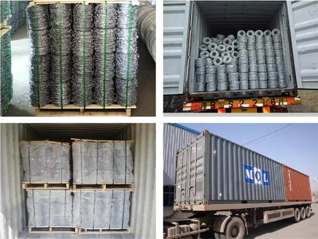Arame farpado de aço galvanizado de calibre 12,5 padrão classe 1 2 pontos espaçamento de 5 polegadas 2