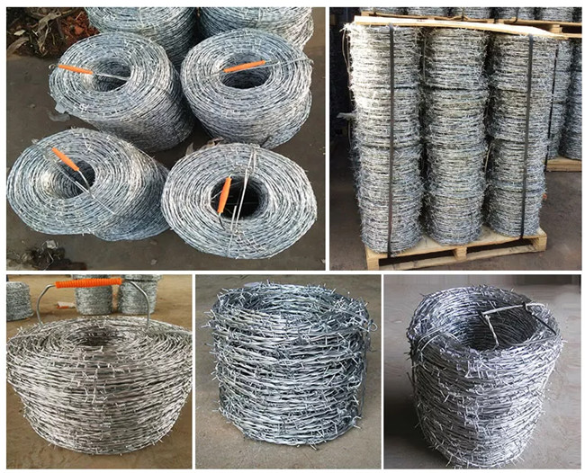 Arame farpado galvanizado elétrico de 4 pontos 2 fios torção dupla 2