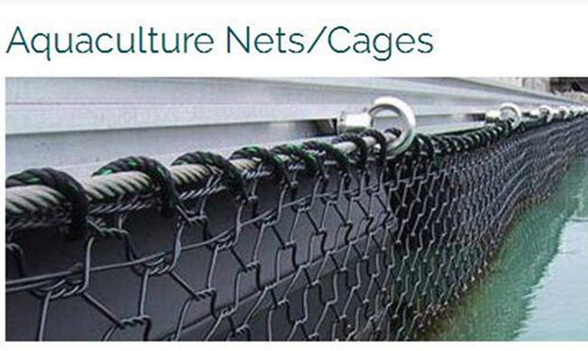 Rede tecida 50x60mm sextavada da gaiola dos peixes de 2.5mm Gabion Mesh Baskets 3