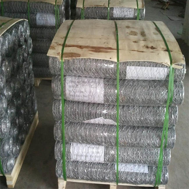 304 galinha de aço inoxidável Mesh Fence Hexagonal AISI EN10223 4