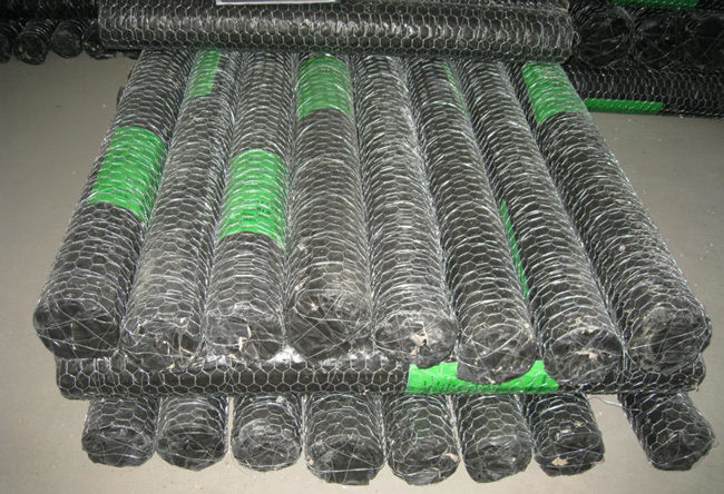 1/2in encantam a galinha Mesh Fence reverso de 2ft x de 100ft BWG 27 torcido 2