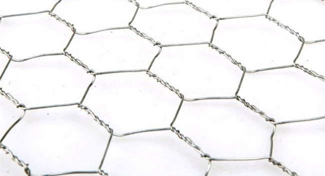 Largura sextavada de Mesh Fence Q195 0.5m da galinha do HDG para aves domésticas 0