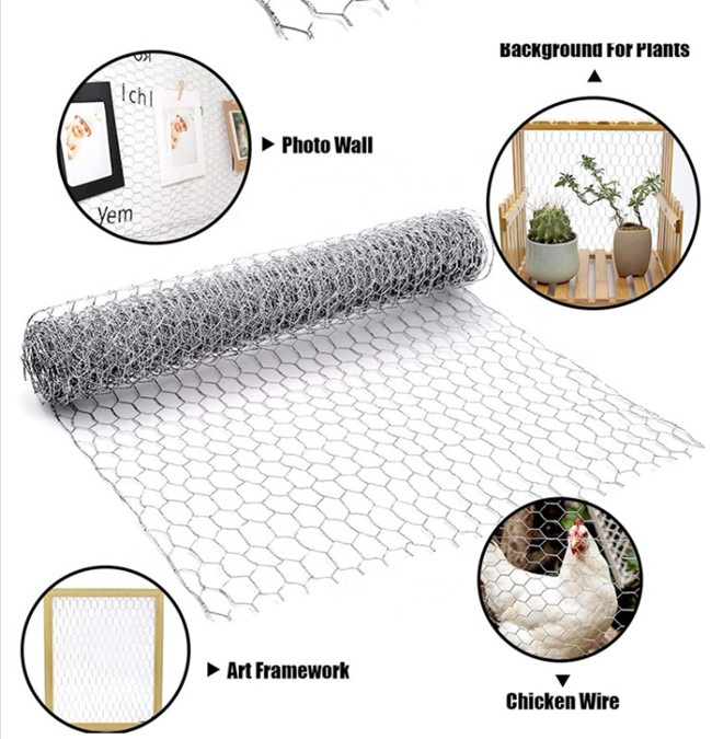 a galinha Mesh Fence de 1.8m BWG 21 1/4" mergulho quente galvanizado encanta a rede 1