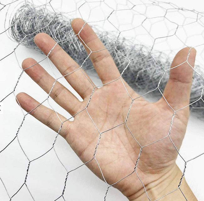 1/2in encantam a galinha Mesh Fence reverso de 2ft x de 100ft BWG 27 torcido 0