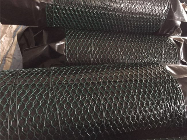 304 galinha de aço inoxidável Mesh Fence Hexagonal AISI EN10223 3