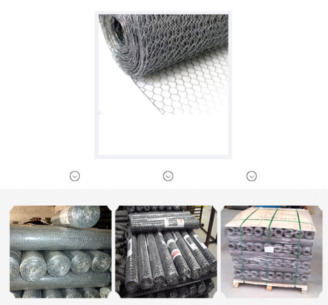 Fio de galinha Mesh Fence Eletro Galvanized Hexagonal da prata 100ft de BWG 24 2