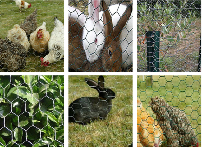 O mergulho quente sextavado galvanizou o fio de galinha alto Mesh For Bird Cage de 6ft 1