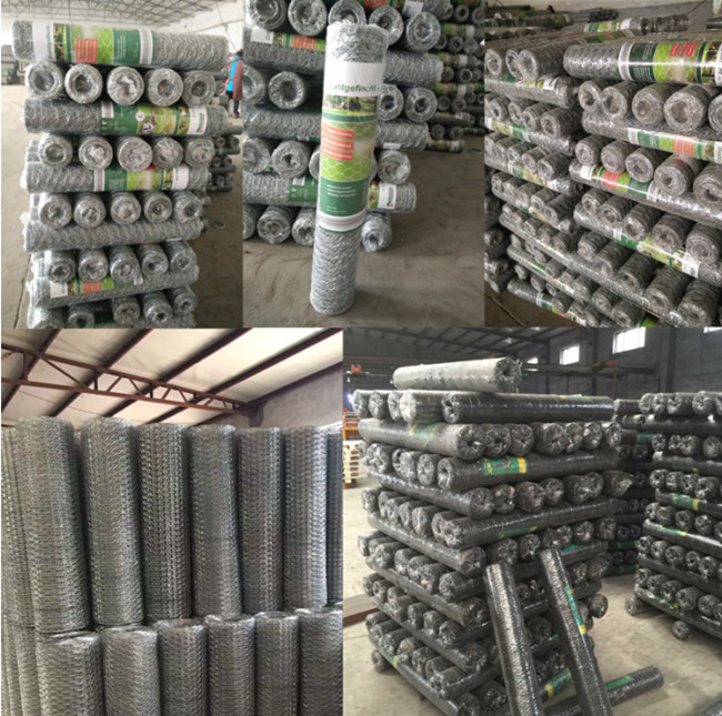 Rede de fio de Mesh Fence Eletro Galvanized Hexagonal da galinha de 3/4 de polegada 19mm 2