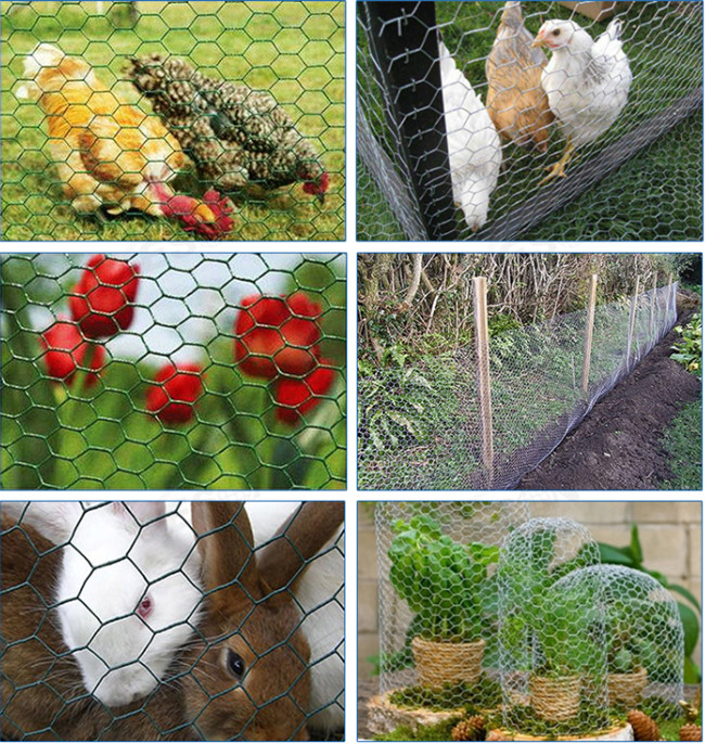Rede de fio de Mesh Fence Eletro Galvanized Hexagonal da galinha de 3/4 de polegada 19mm 1
