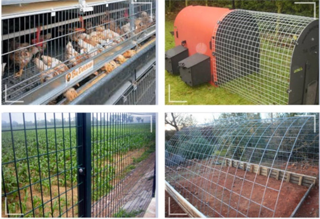 Fio galvanizado Mesh Sheets Panels da prata 2×2in 2×4 BWG 13 2.11mm de alta elasticidade 2