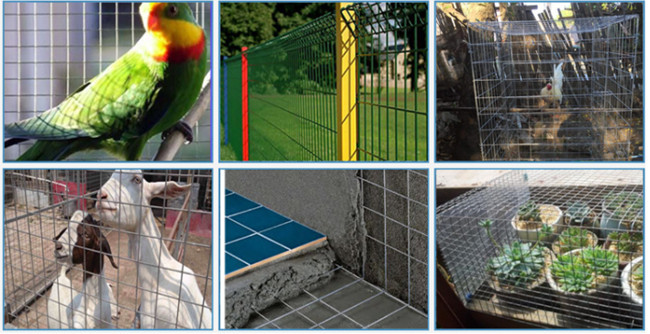A solda de aço branca verde Mesh Panels Pvc Coated Pre da cor 2mm galvanizou para a cerca 1