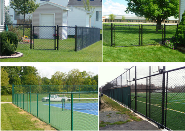 o Pvc de 1.2mm a de 5mm revestiu a cerca de fio For Basketball Court do ciclone de Diamond Mesh 6m 2