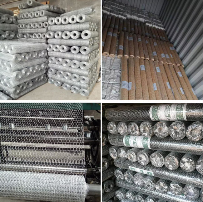 Galinha galvanizada Mesh Fence da exploração agrícola Bwg27, rede sextavada das aves domésticas 1